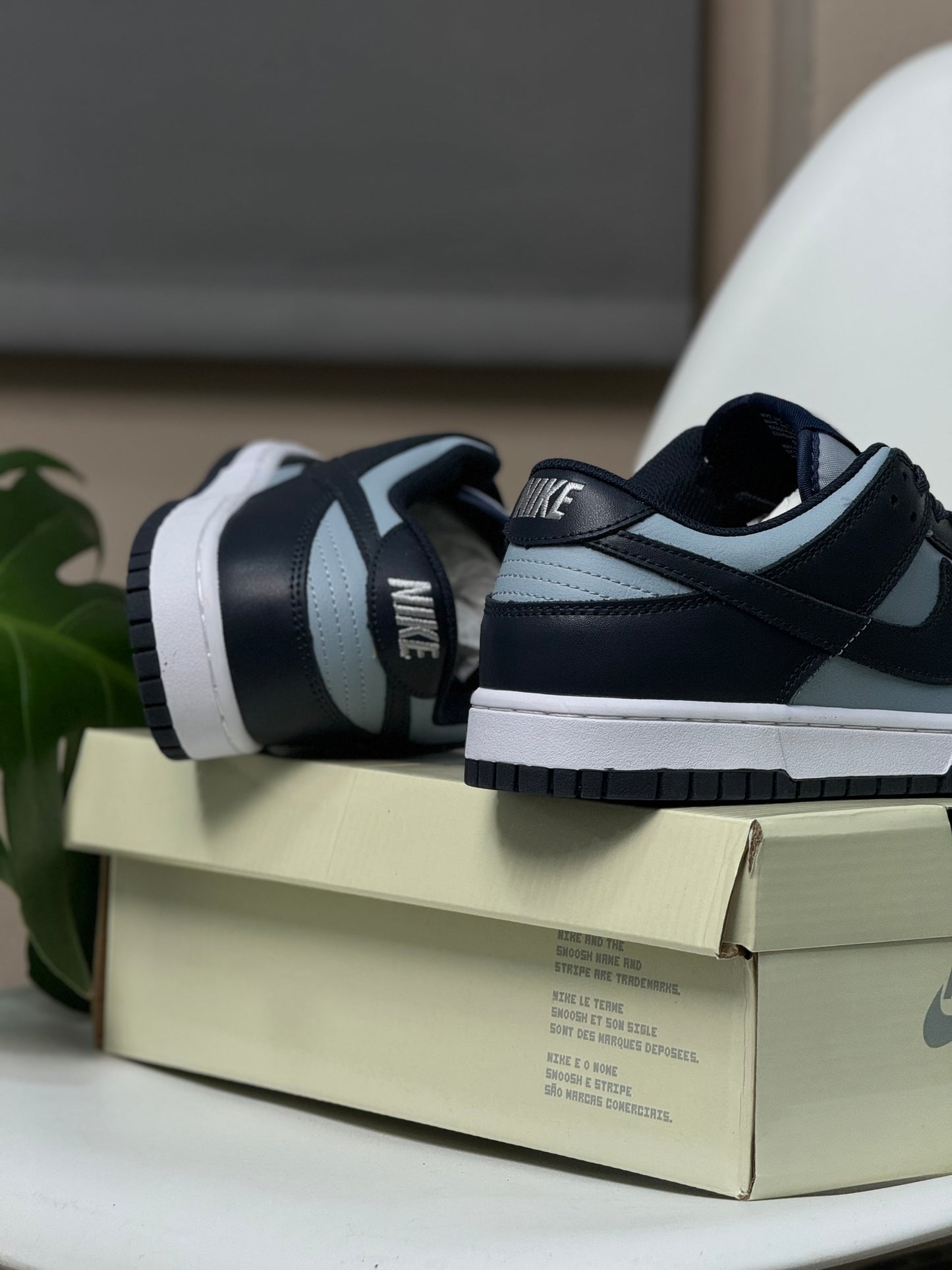 Nike Dunk Low Georgetown