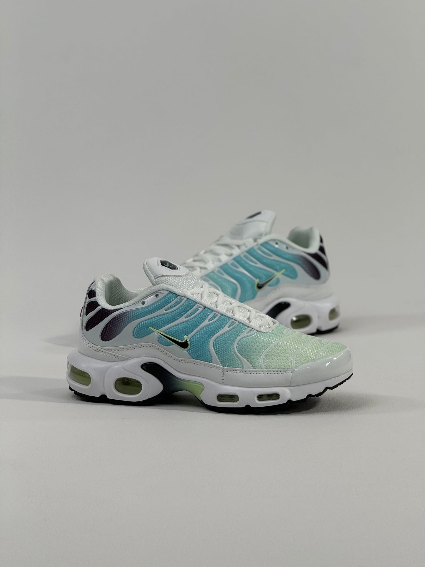 Nike Air Max Plus Dusty Tn