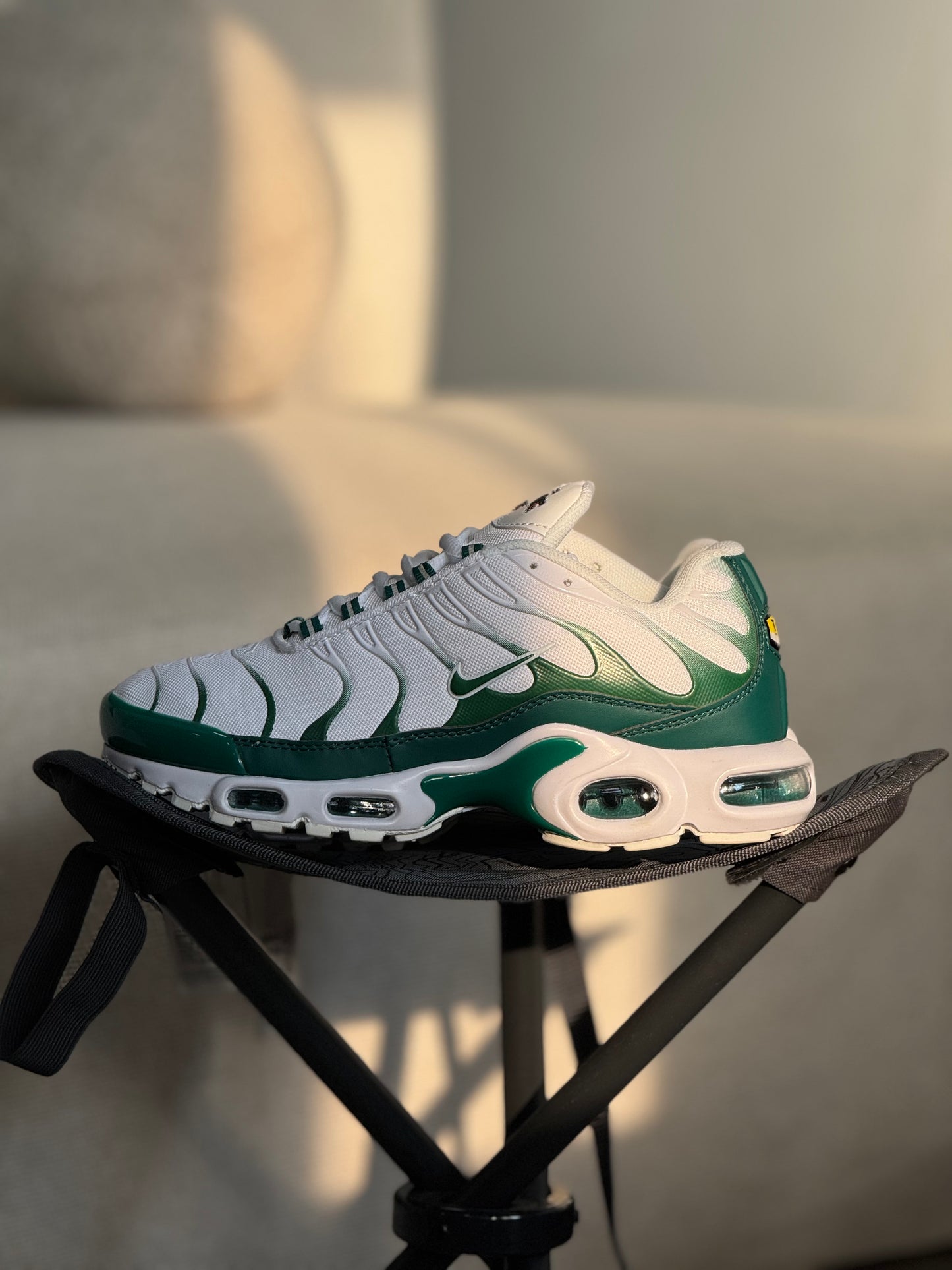 Nike Airmax Tn x Lacoste