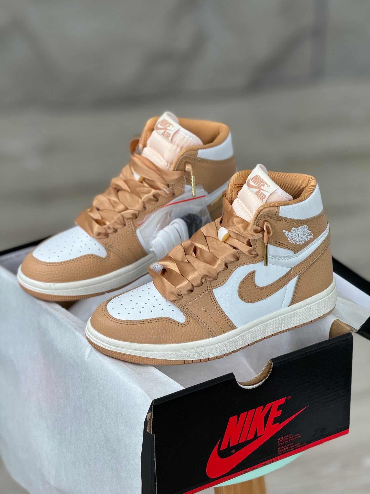 Air Jordan 1 Retro High OG Luxury Handbag