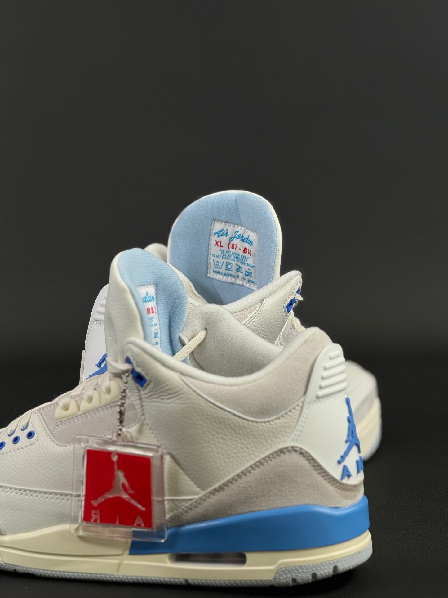 Air Jordan 3 Lucky Shorts