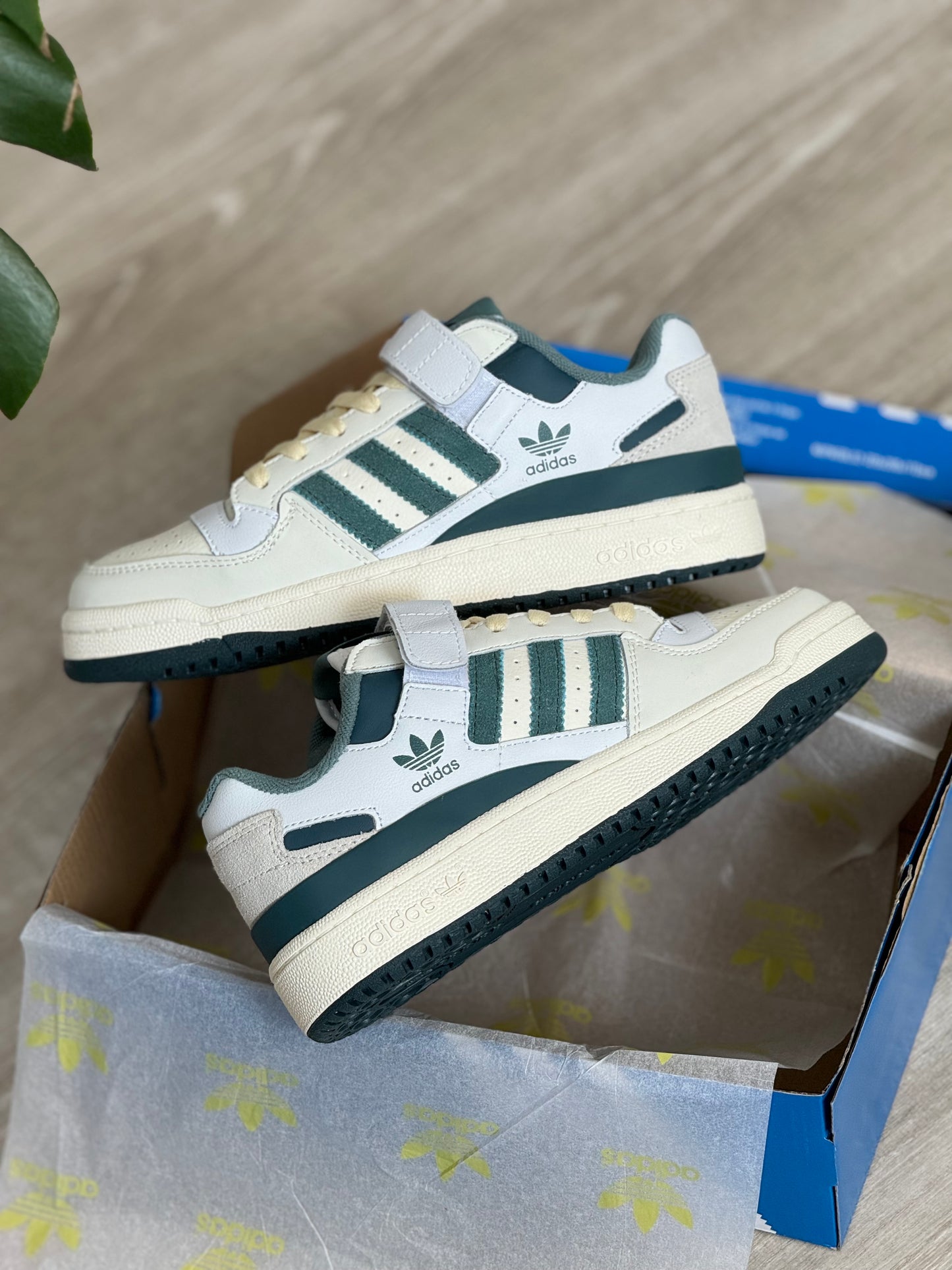 Adidas Forum Low 84 “Green Pine”
