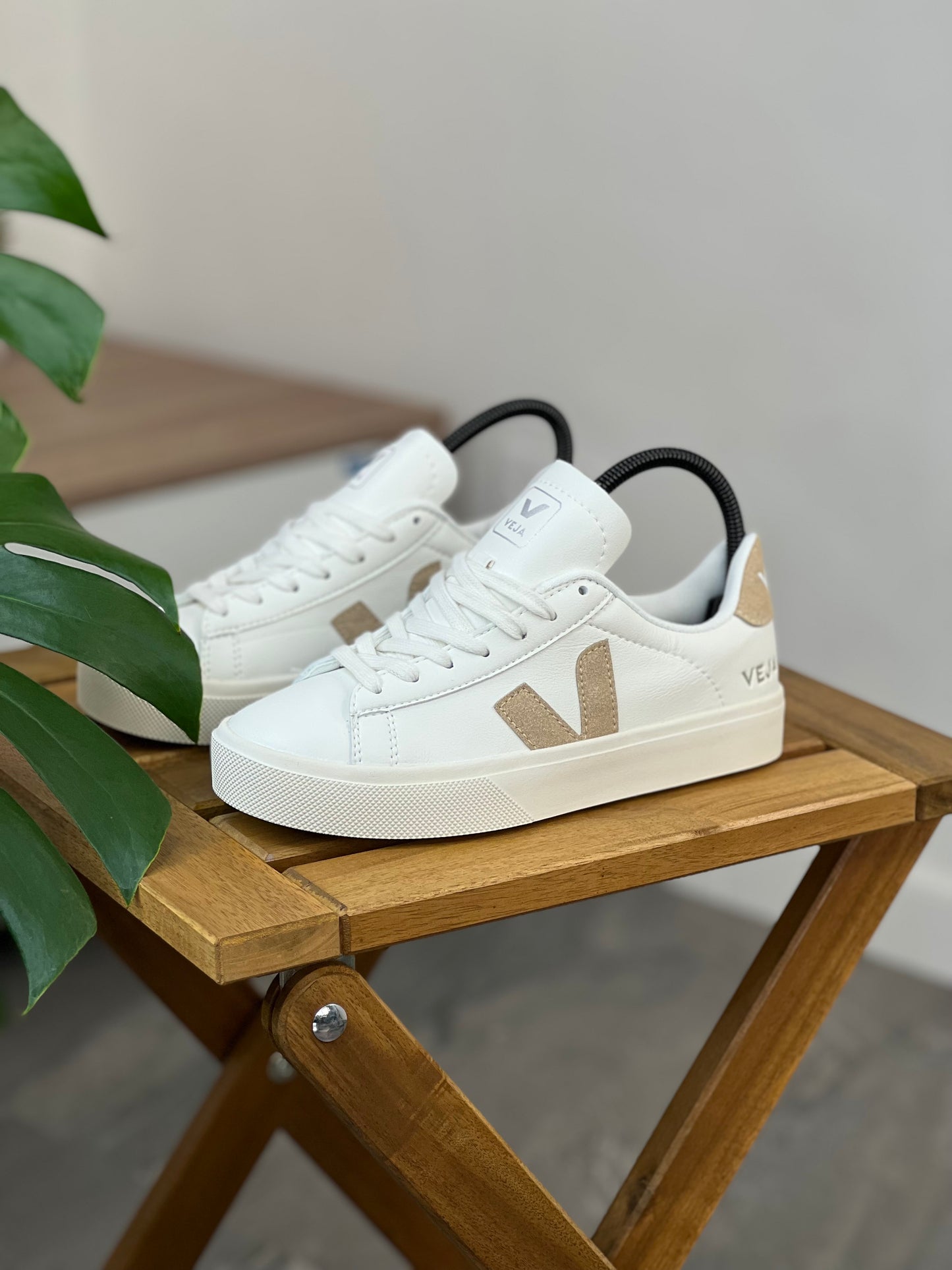 Veja