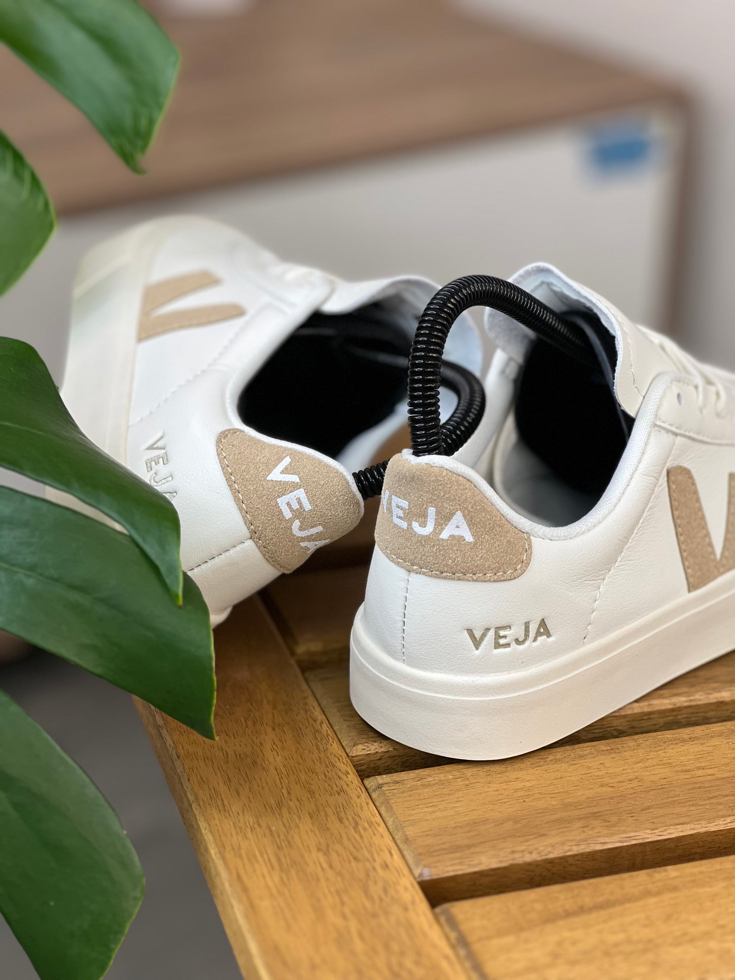 Veja
