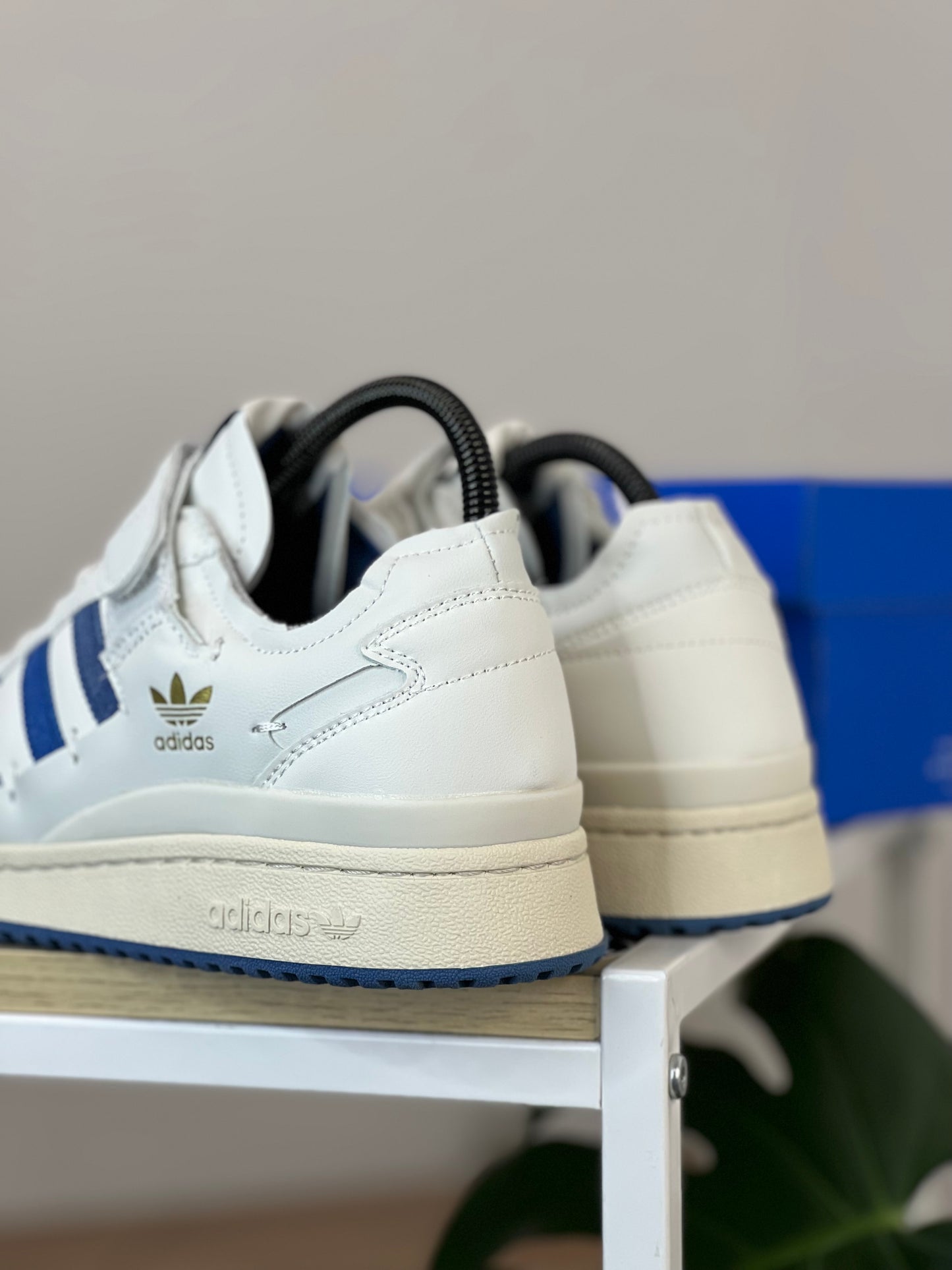 Adidas Forum