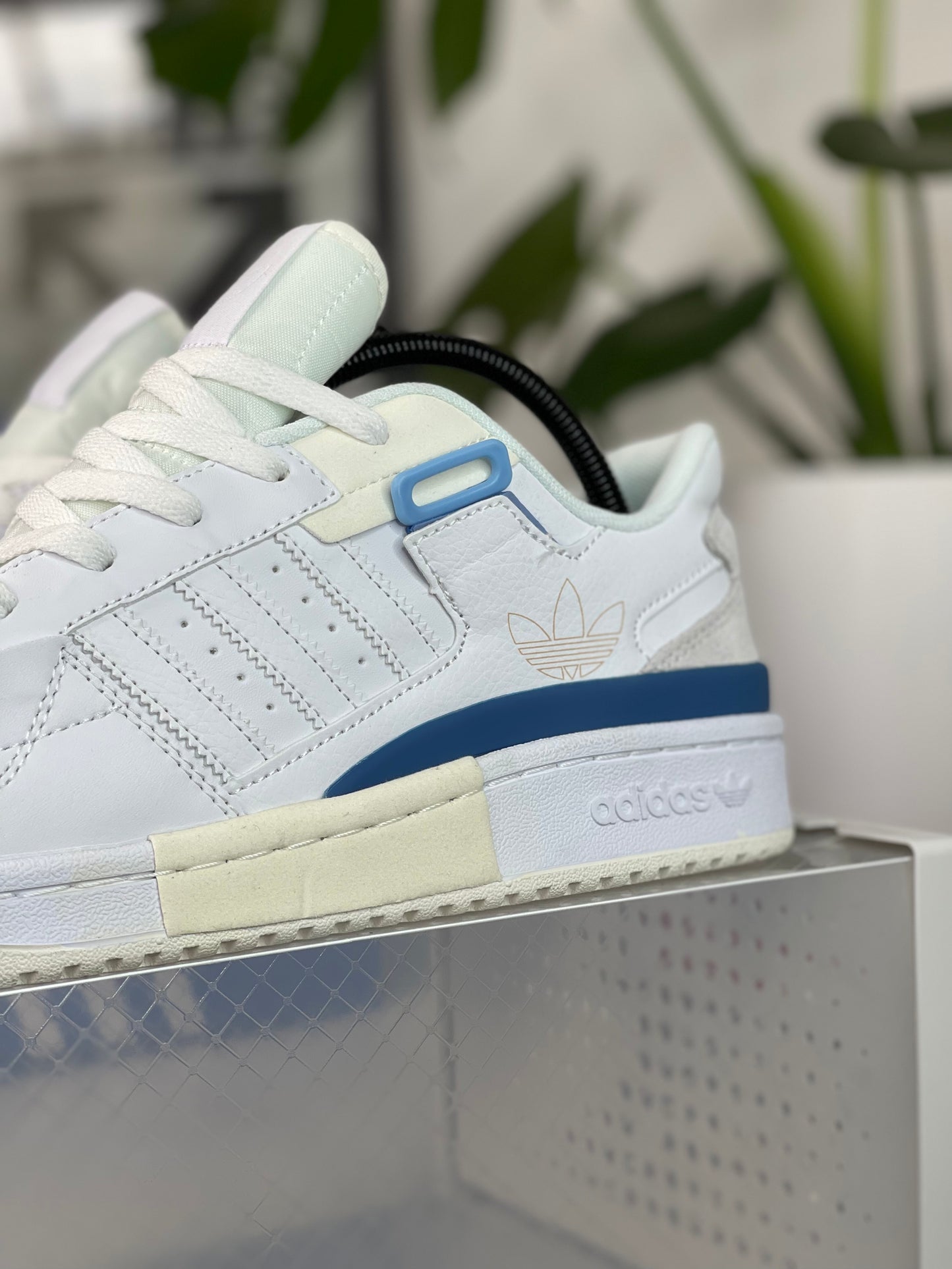 Adidas Forum 84 Low Cream