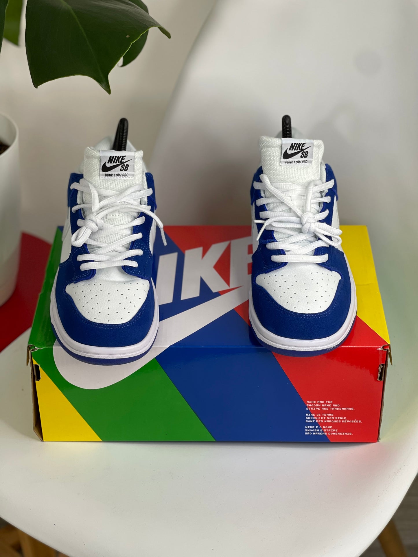 Nike Sb Dunk Low Ishod Wair