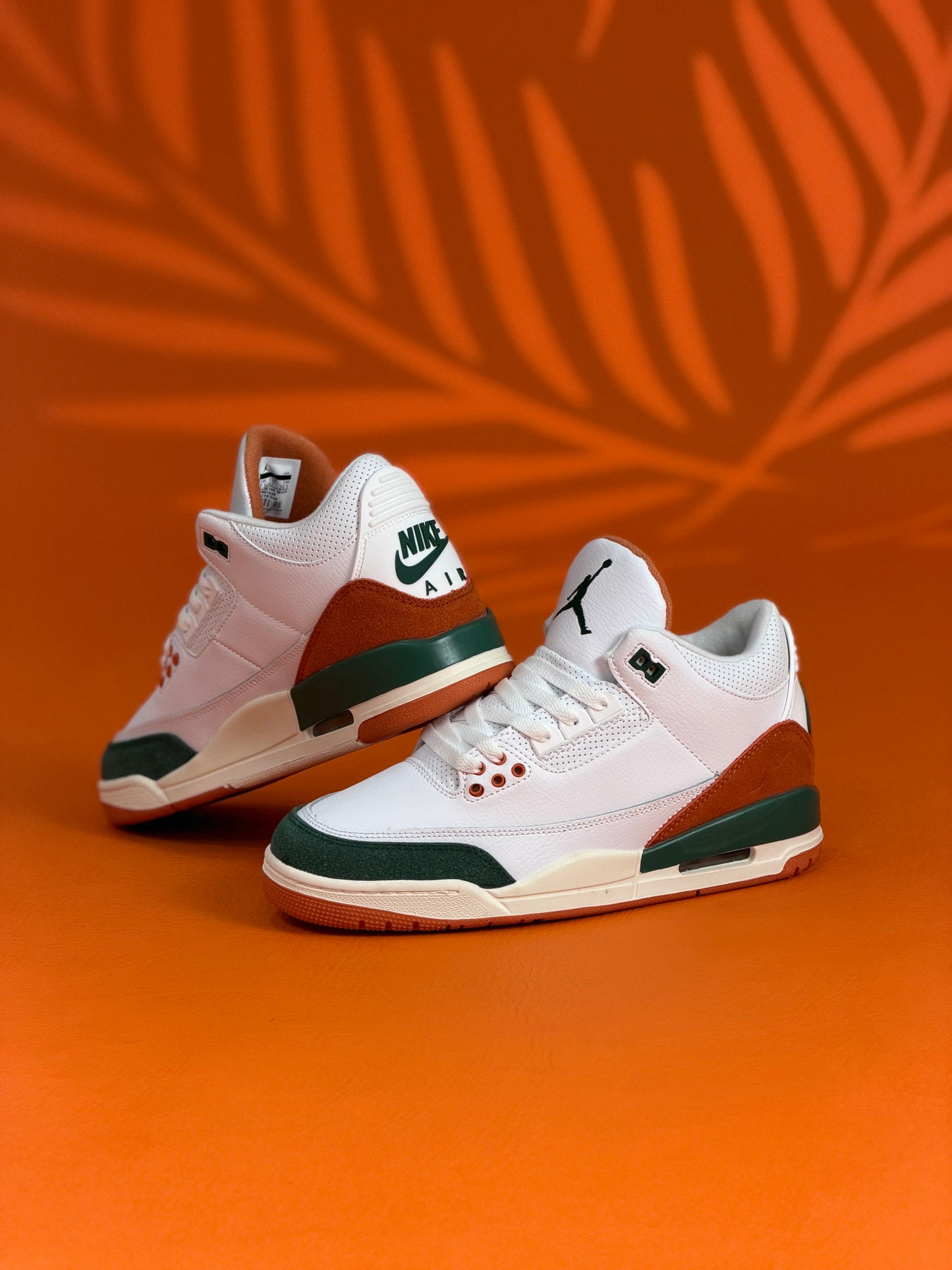 Air Jordan 3 x Solefly Miami