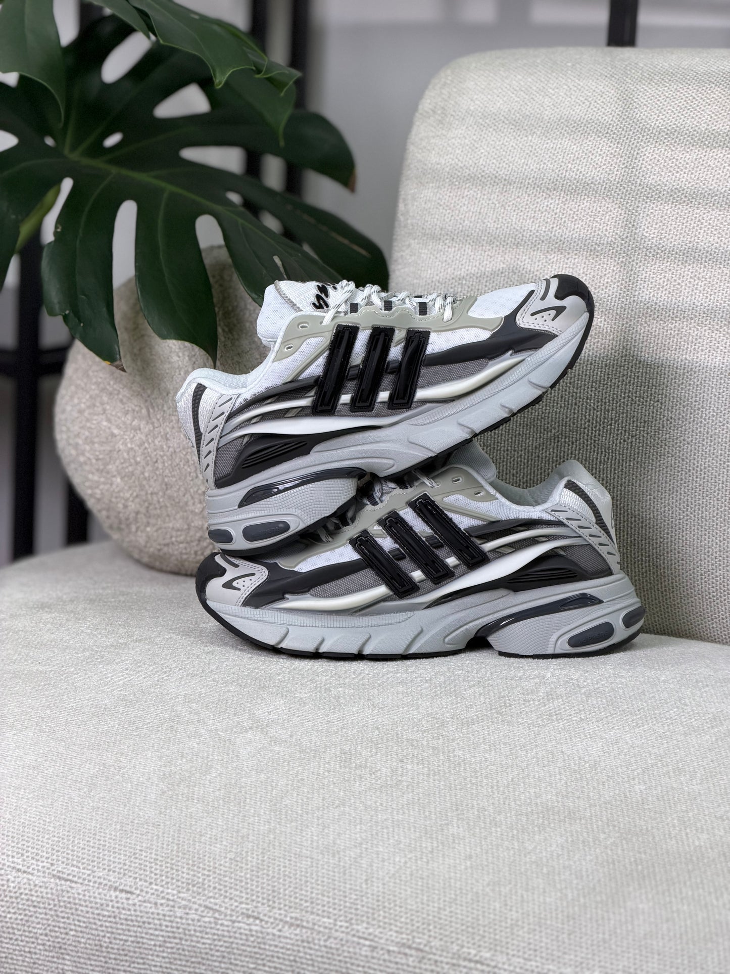 Adidas Adistar Jellyfish