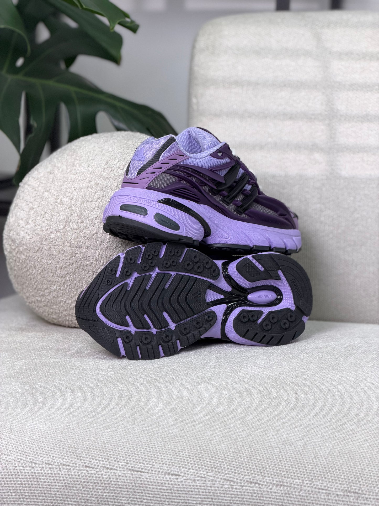 Adidas Adistar Jellyfish