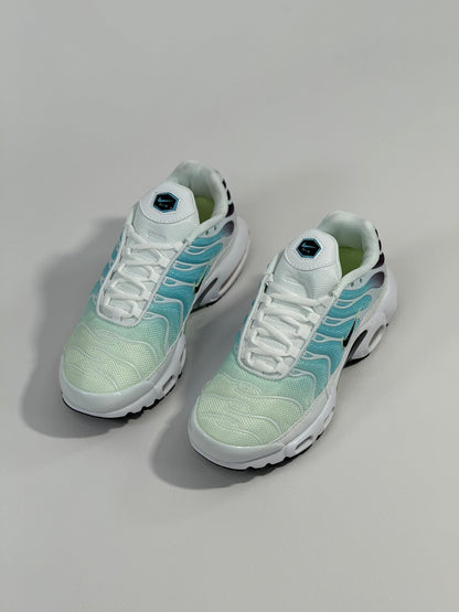 Nike Air Max Plus Dusty Tn