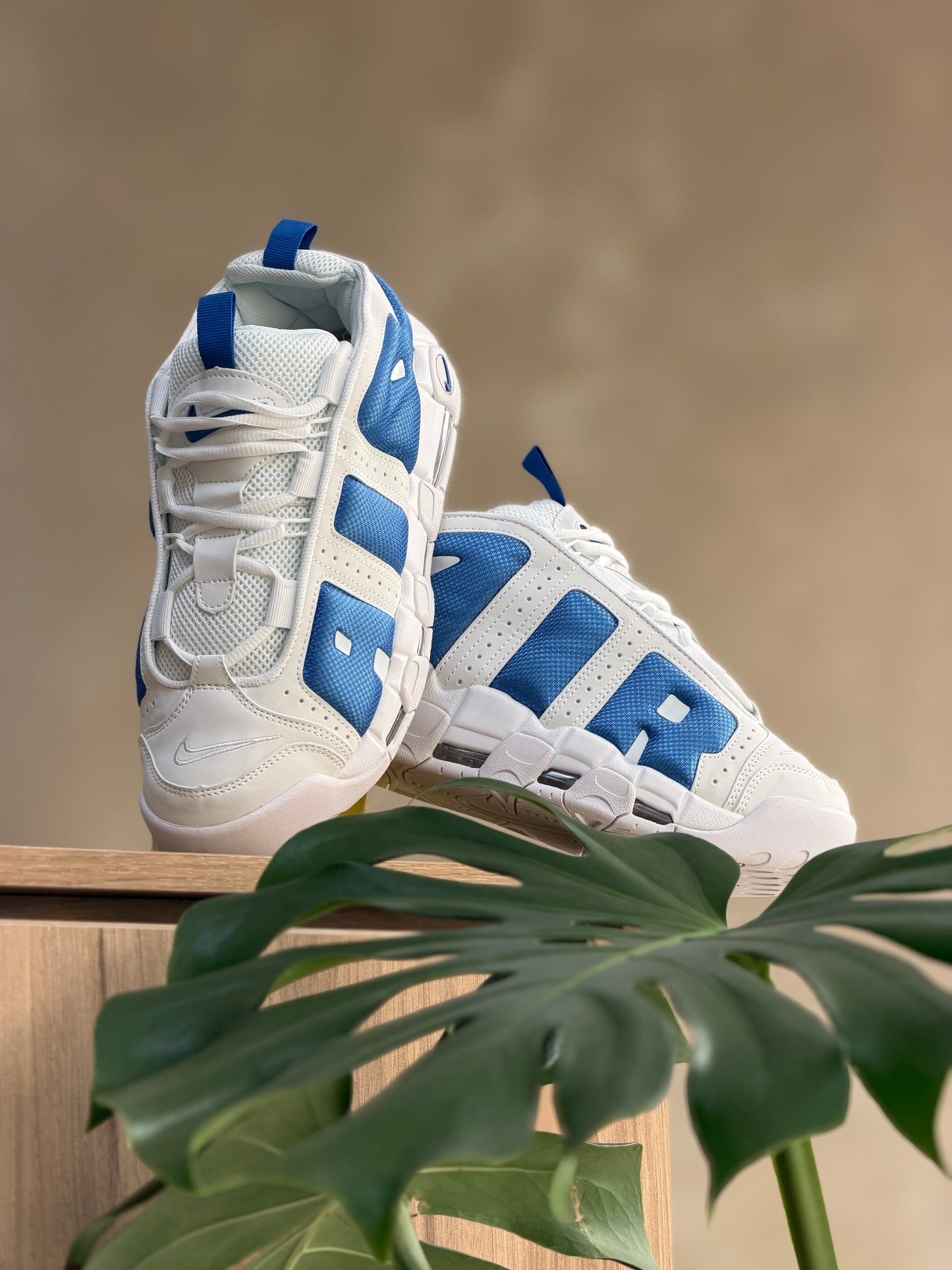 Nike Uptempo Low