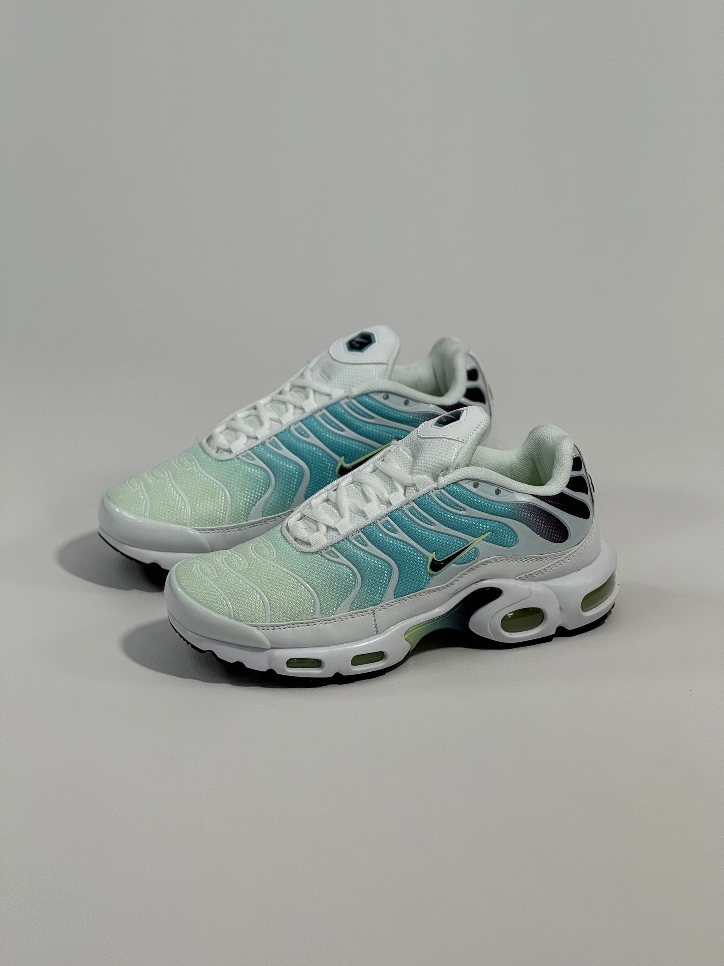 Nike Air Max Plus Dusty Tn