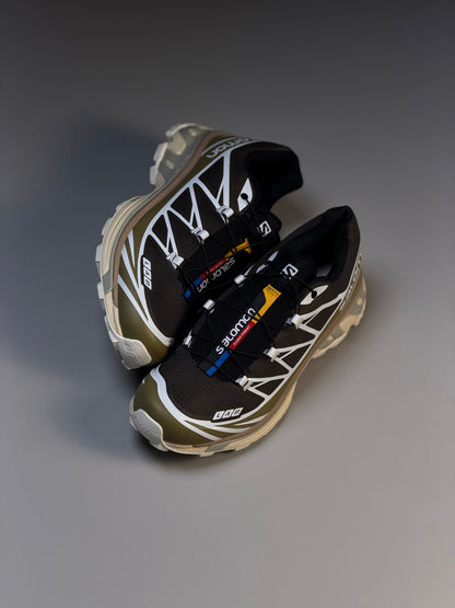 Salomon Xt6 Brown