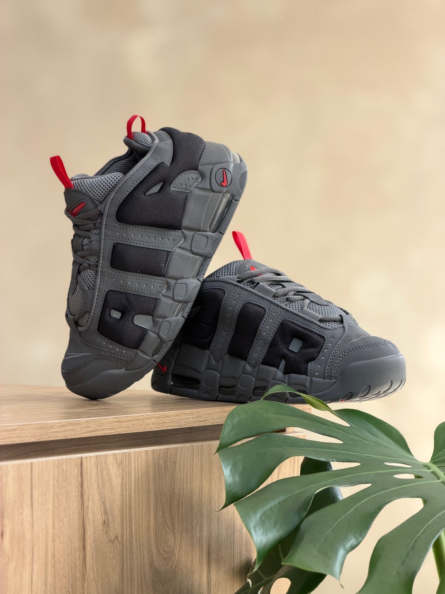 Nike Uptempo Low Grey Red