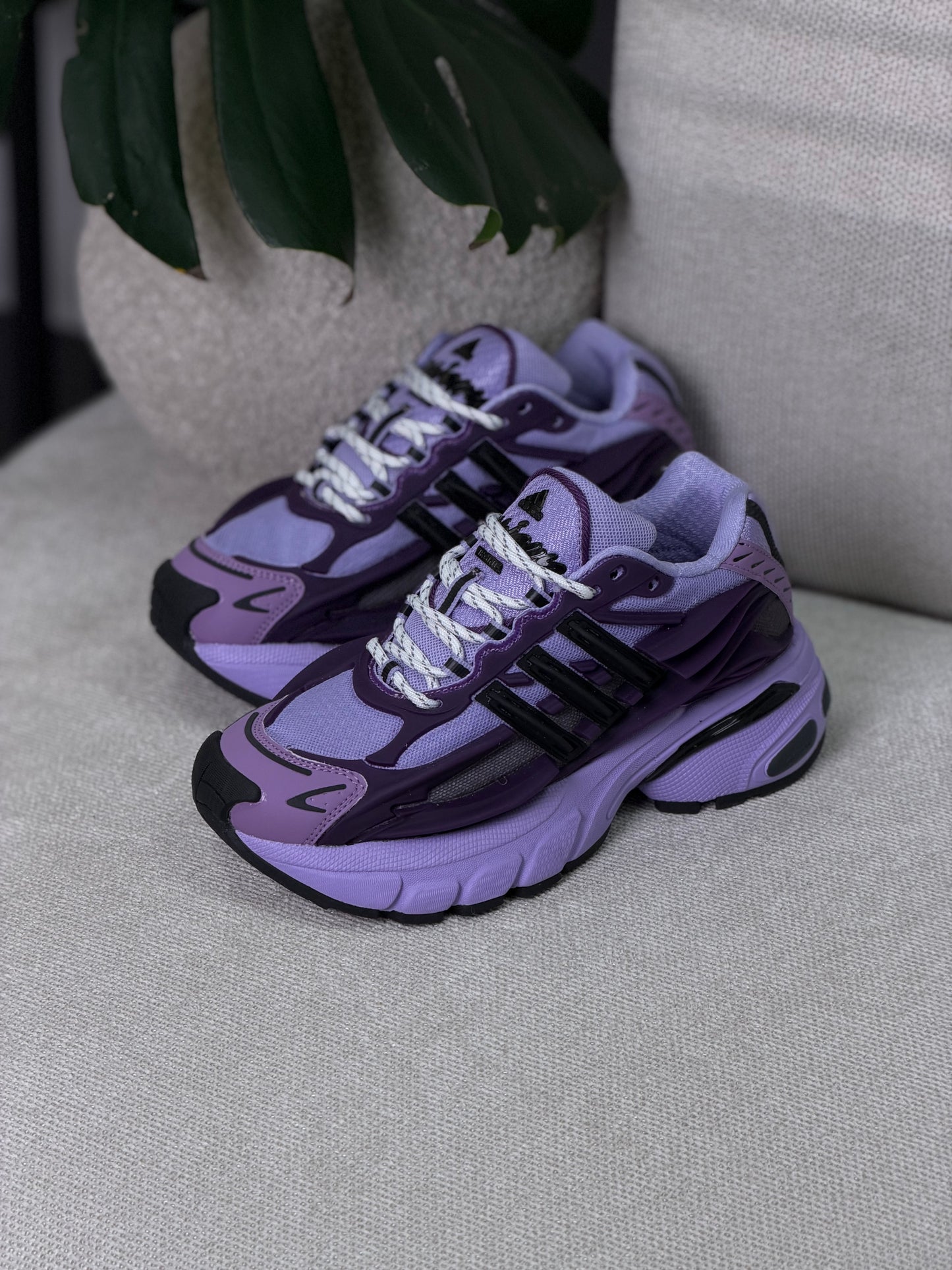 Adidas Adistar Jellyfish