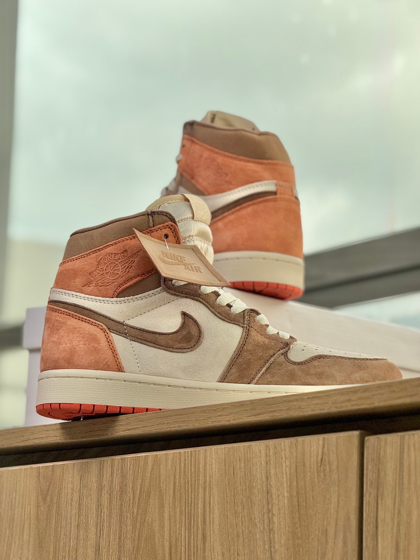 Air Jordan 1 High Dusted Clay