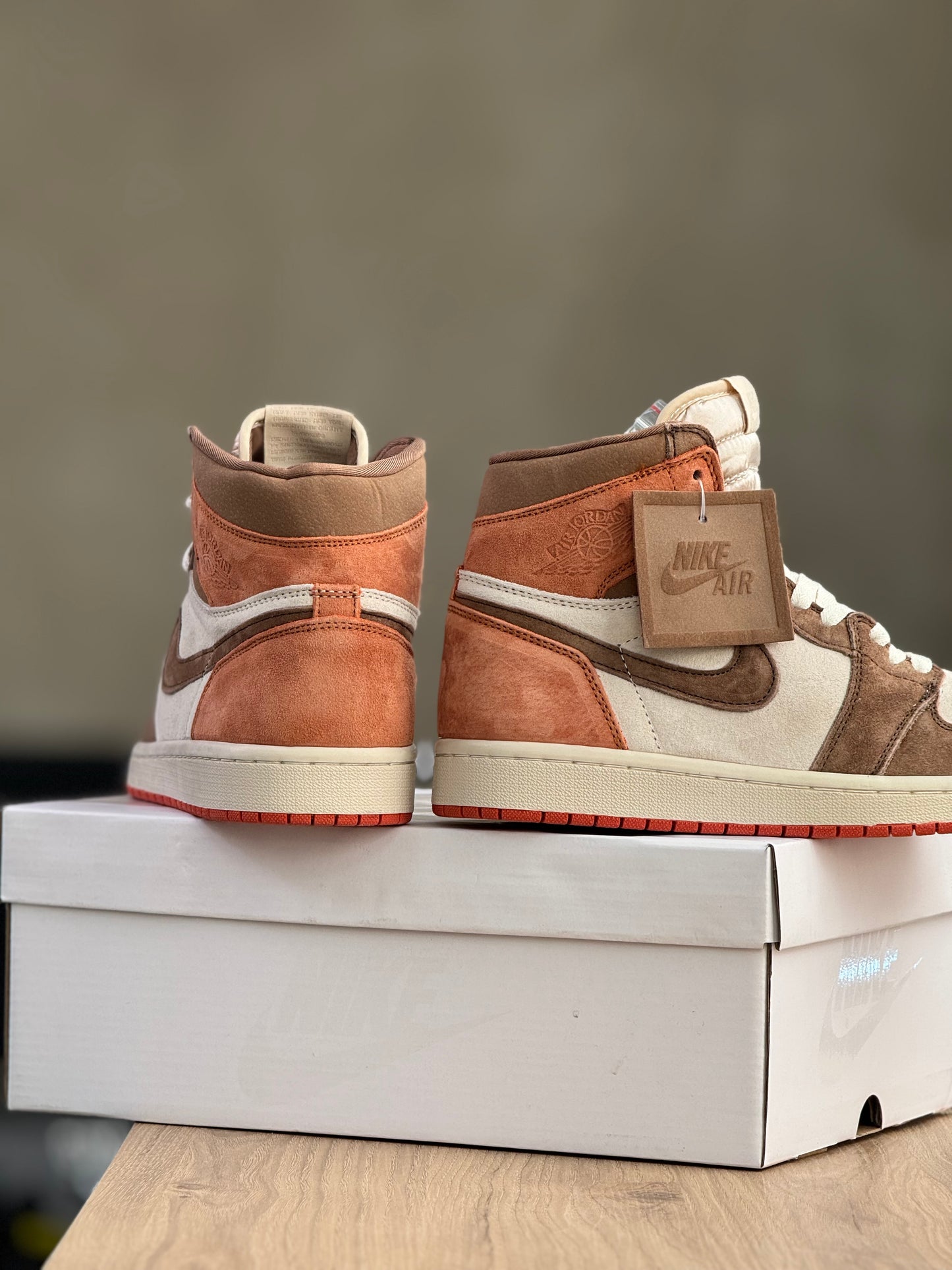 Air Jordan 1 High Dusted Clay