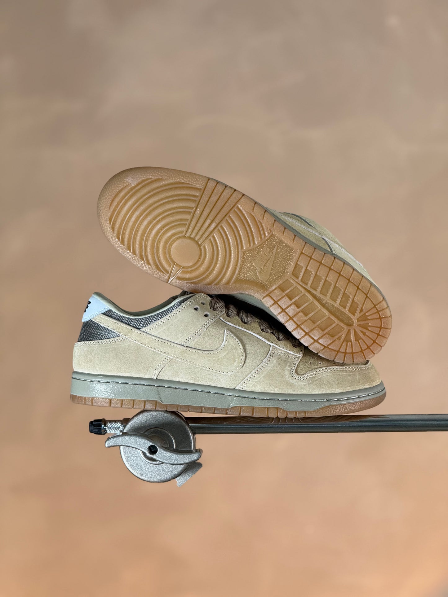 Nike Dunk SB Brown