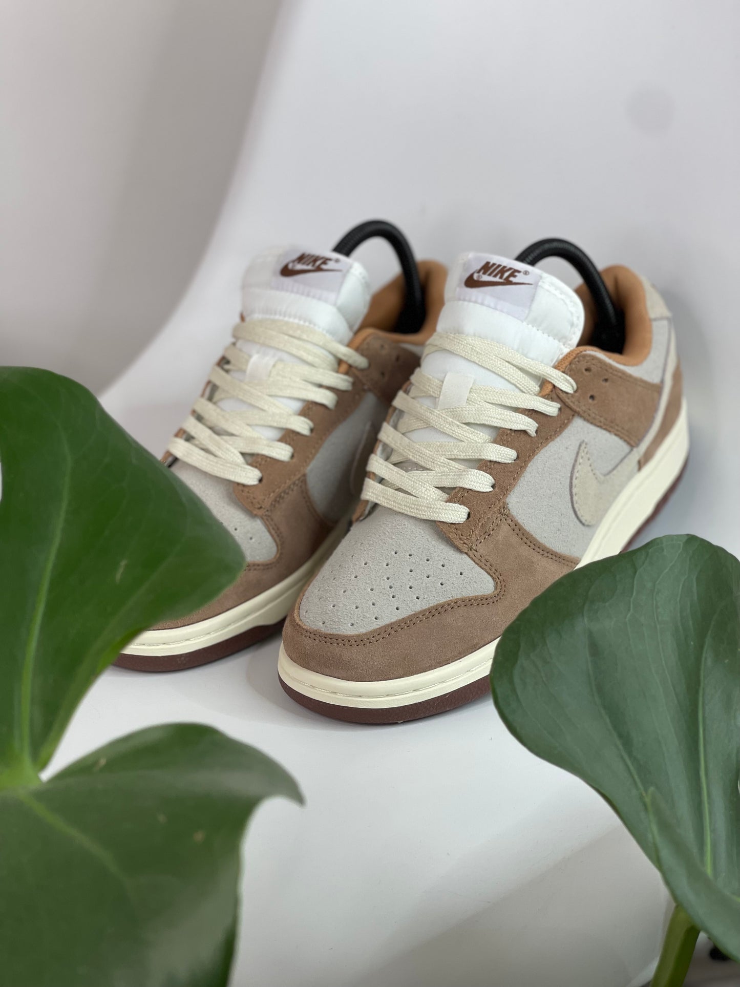 Nike Sb  Dunk Curry