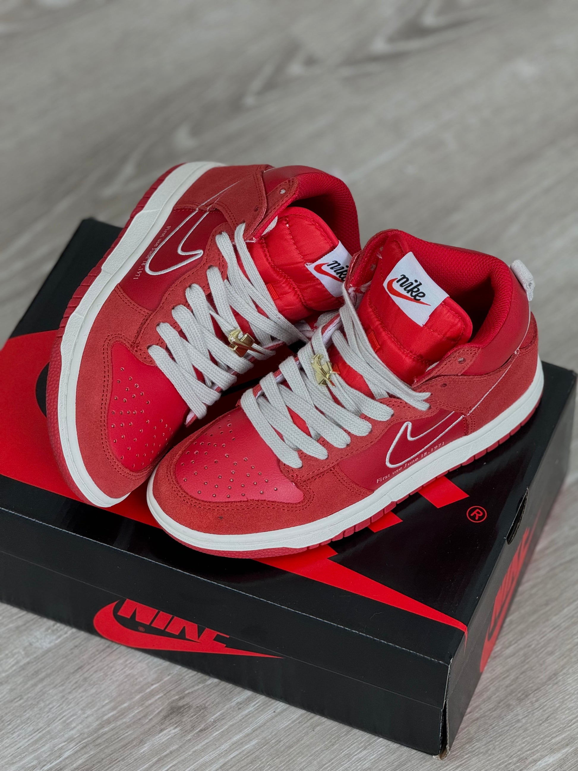 Nike Dunk High First Use Red