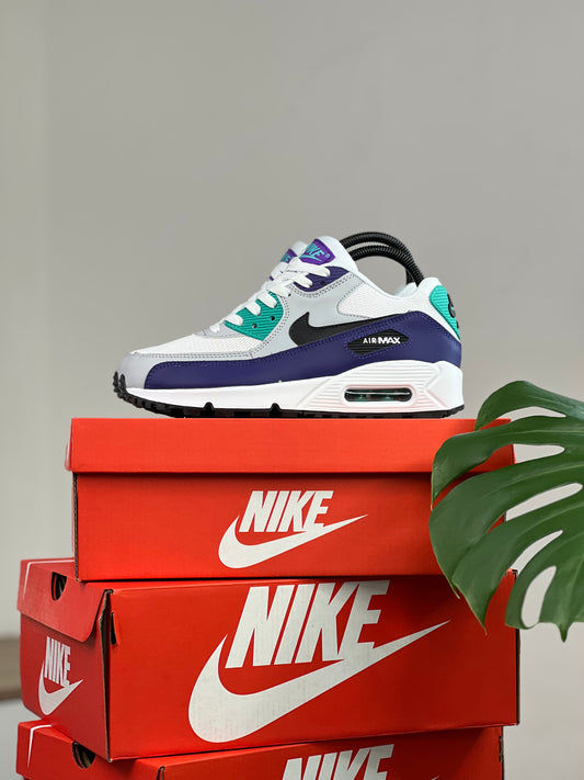 Airmax 90 Essential