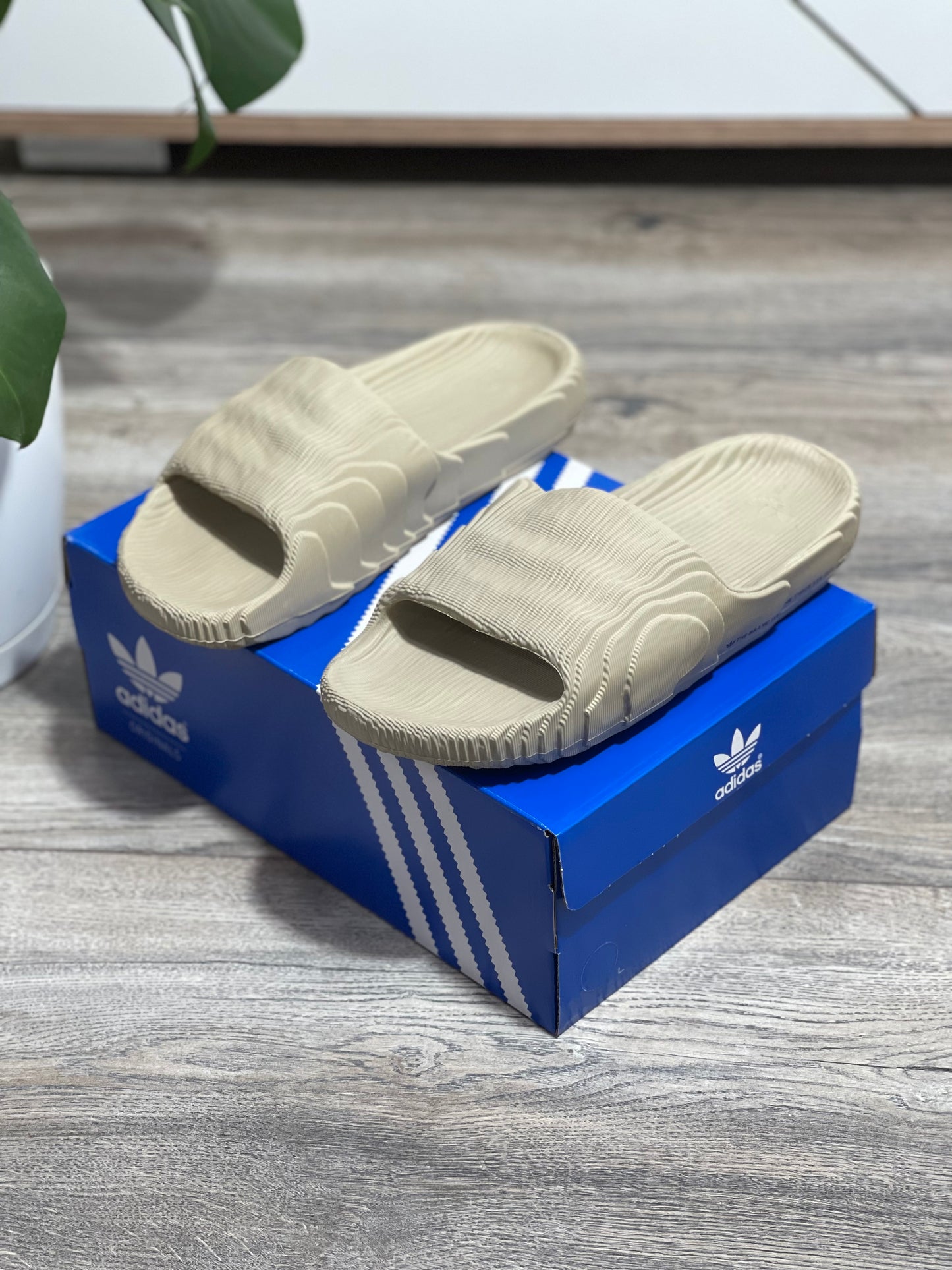Adidas Adilette 22